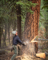 What's the Difference with the New Clogger Gen2 Wildfire Chaps