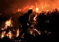 What to Look For in Chainsaw PPE If You Work in Wildfires (US Market)