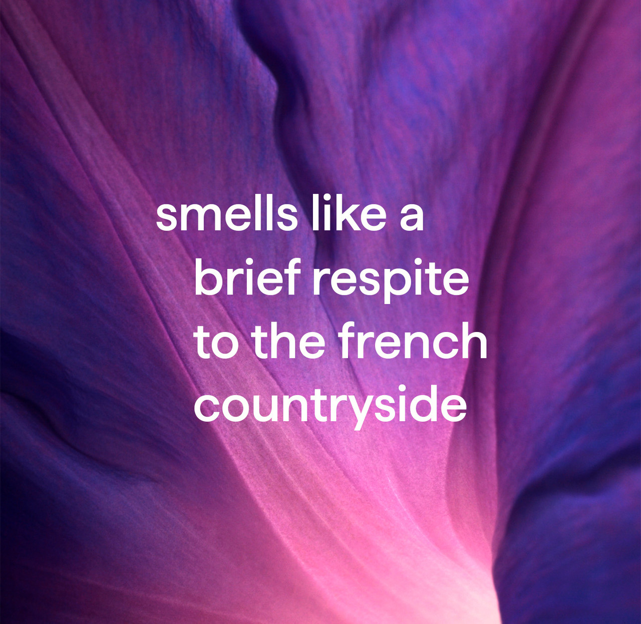 method AllPurpose Cleaner, French Lavender, 28 fl oz