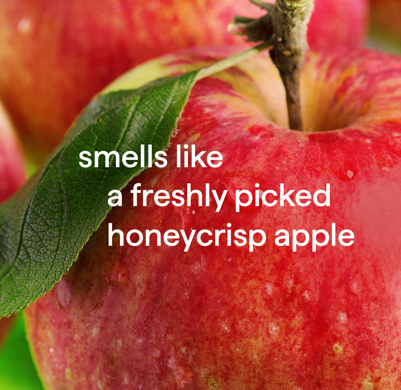 Fresh Honeycrisp Apple, Each