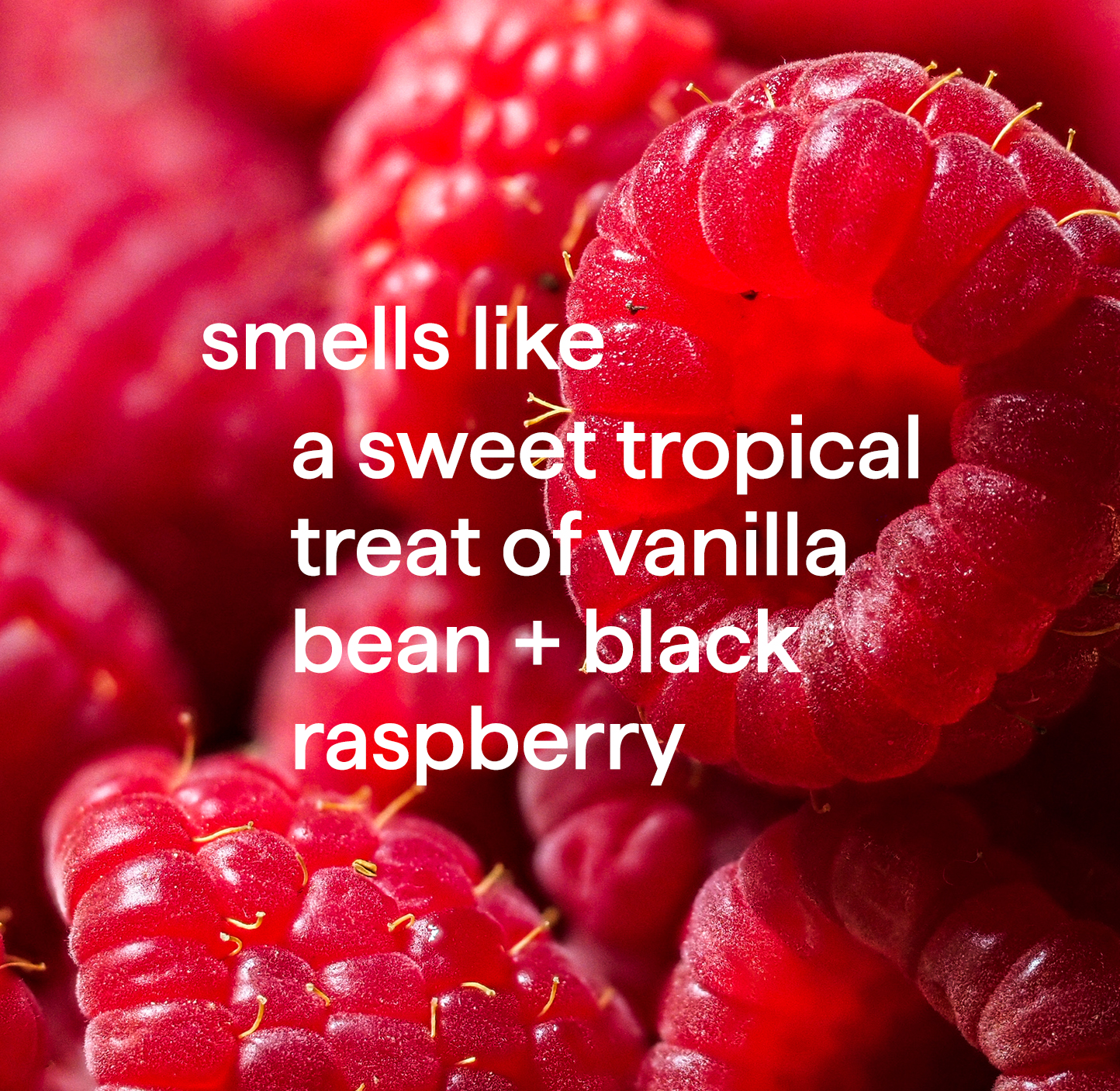 HOW TO SMELL GOOD: BERRIES & VANILLA EDITION, Gallery posted by  clairebdawe