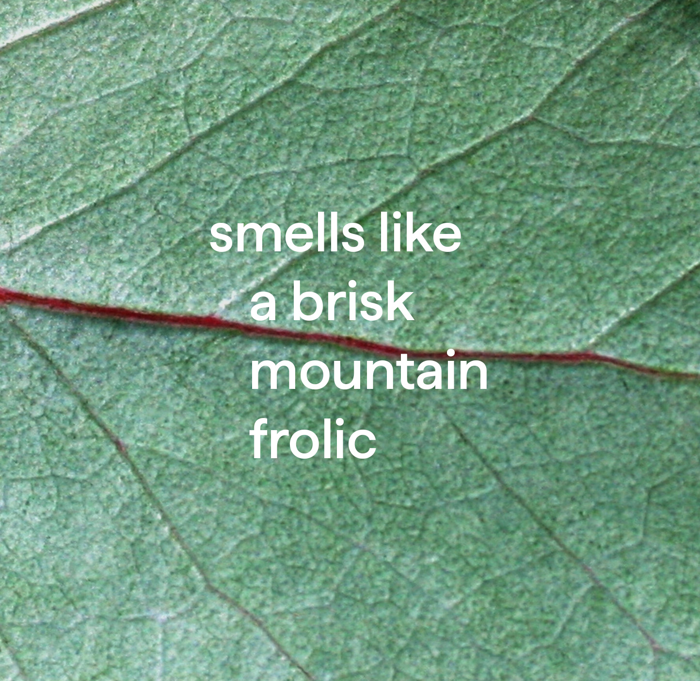 method Daily Shower Spray Cleaner, Eucalyptus Mint, 28 oz