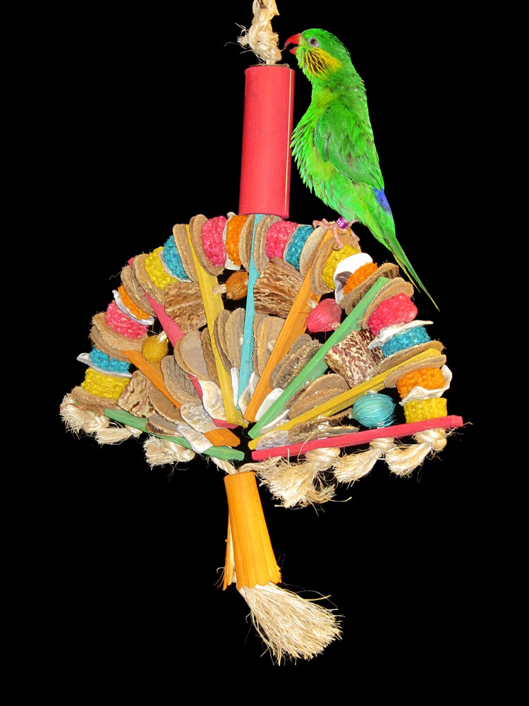 planet pleasures bird