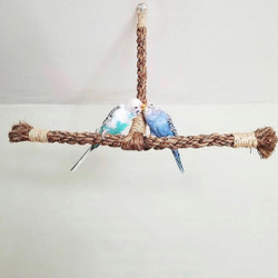 2 Budgies atop their Planet Pleasures parrot perch 2 Budgies atop their Planet Pleasures parrot perch