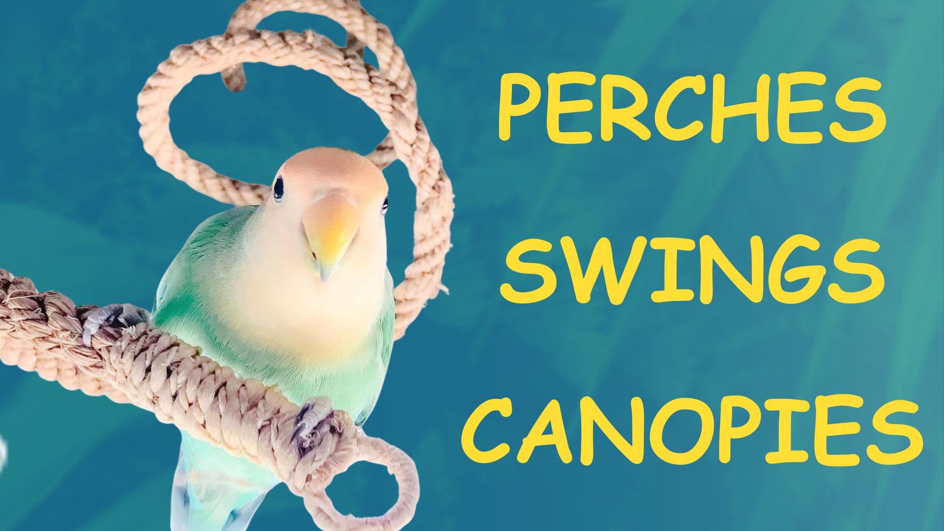 Planet Pleasures All-Natural Bird and Parrot Toys, Perches & Swings