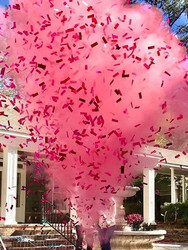 Tips on how to do a Baby Gender Reveal Party