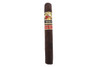 La Gloria Cubana Serie R No.7 Maduro Cigar Single