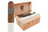 Asylum 13 6X80 Cigar