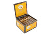 Tatiana Honey Robusto Cigar Box