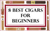 8 Best Cigars for Beginners (Premium Cigars We Recommend for the Budding Smoker!)