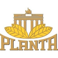 Planta