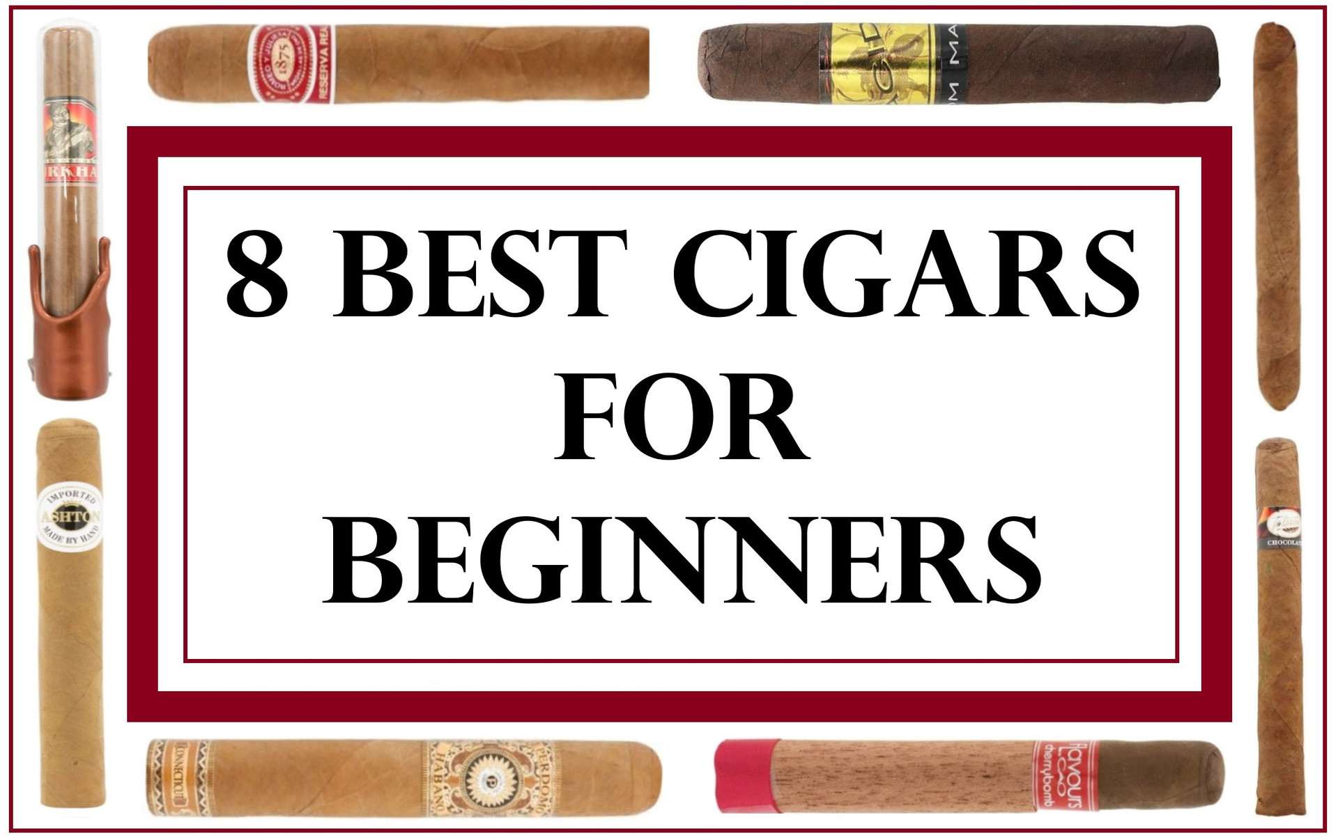 8 Best Cigars for Beginners (Premium Cigars We for the