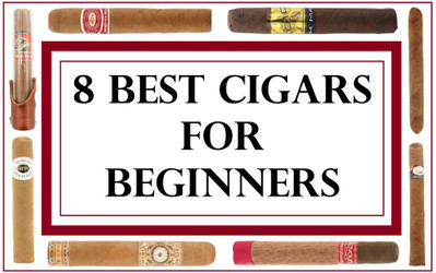 8 Best Cigars for Beginners (Premium Cigars We Recommend for the Budding Smoker!)