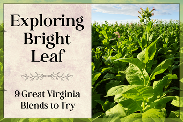 Tobacco, Cultivated 'Virginia Bright Leaf