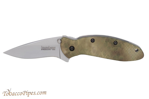 Kershaw Scallion 1620C Spring Assisted Knife