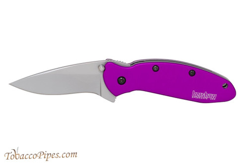 Kershaw Scallion 1620PUR Spring Assisted Knife