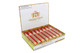 Macanudo Cafe Crystal Robusto Cigar Box