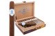 ADVentura The Navigator Pinzon Cigar