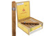 Montecristo Churchill Cigar