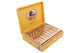 Stallone Palomino Connecticut Toro Cigar Box