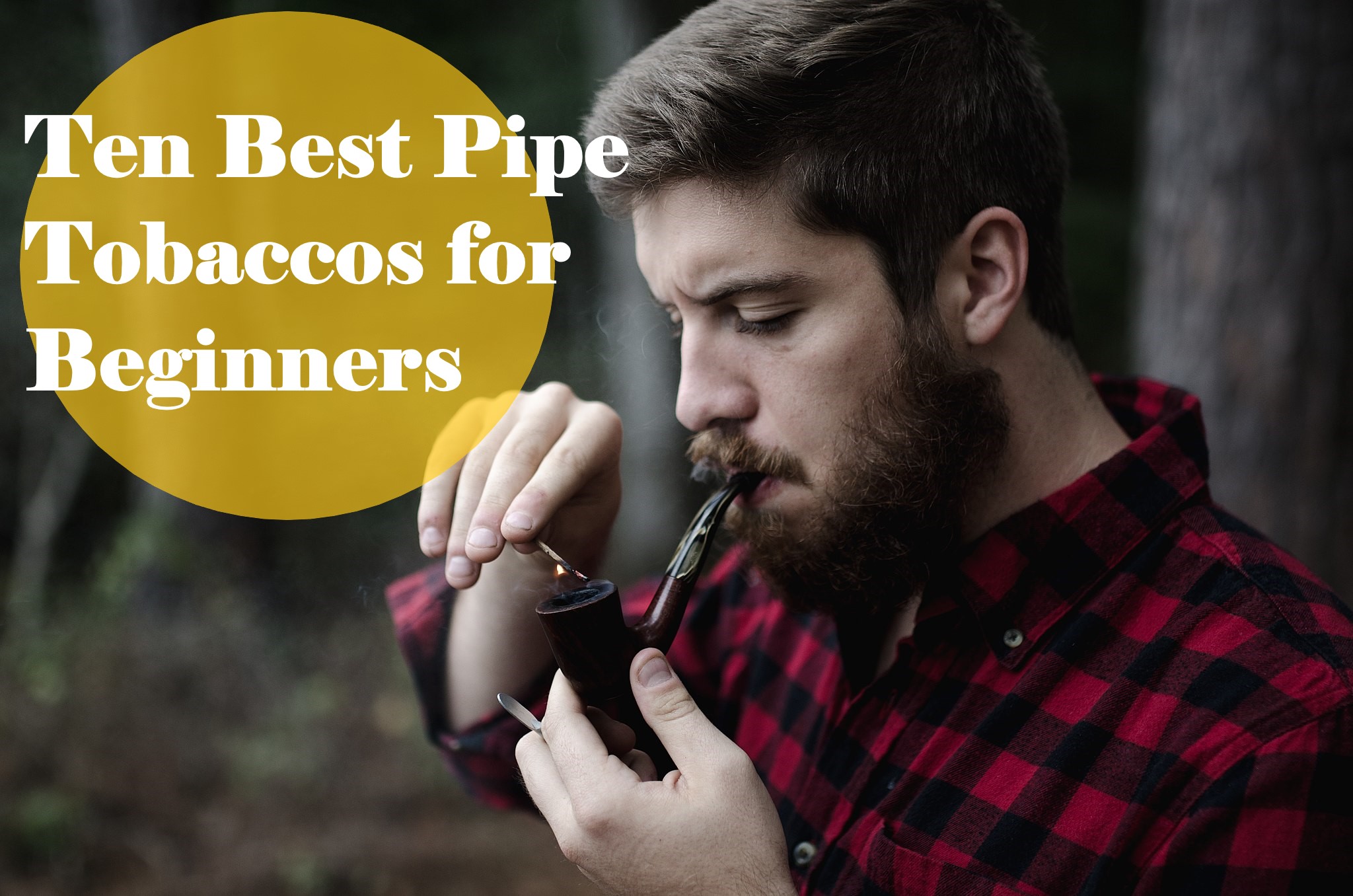 10 Best Pipe Tobaccos for Beginners