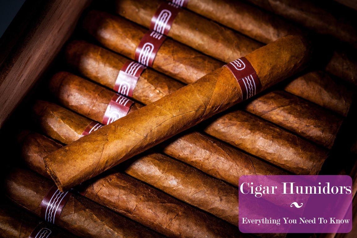 Cigar Humidor — BURN