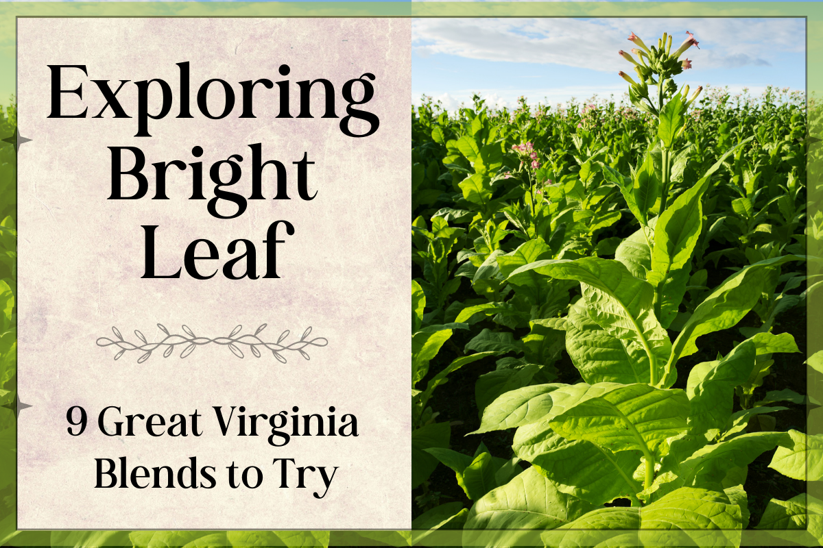 About Virginia Tobacco