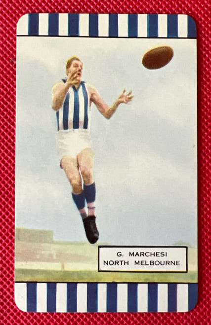 1954 Coles Card North Melbourne Kangaroos G MARCHESI