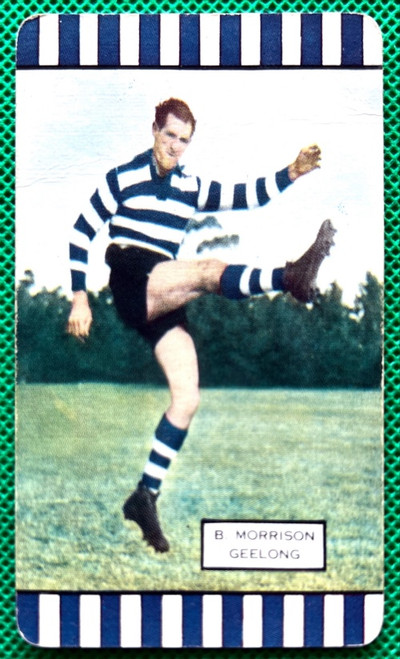 1954 Series 2 Coles Card Geelong Cats B MORRISON