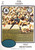 1975 Scanlens #70 COL CASEY Newtown Jets Rugby League Card