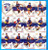 2018 AFL Select Legacy WESTERN BULLDOGS  Base Team Set