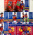 1995 AFL Select Series 2 FITZROY LIONS Base Team Set