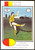 1975 VFL SCANLENS #31 WAYNE BEVAN HAWTHORN HAWKS CARD