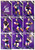 2024 NRL TRADERS TITANIUM MELBOURNE STORM TEAM SET