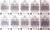 2018 NRL ELITE NORTH QUEENSLAND COWBOYS SILVER PARALLEL TEAM SET