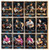 2012 NRL DYNASTY SERIES PENRITH PANTHERS SILVER PARALLEL TEAM SET (UNPEELED)