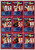 2008 WEETBIX "STAT ATTACK" CRICKET CARD SET (30 cards)