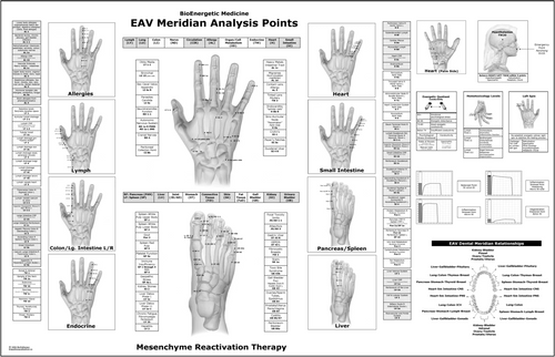 EAV Chart 24x36
