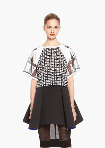 Magnis de darturien meros laciniadoss