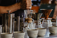 What's So Special About the Specialty Coffee Association? 