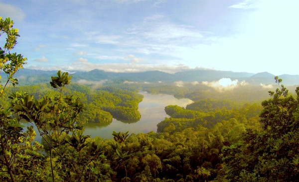 Venturing Beyond Organic