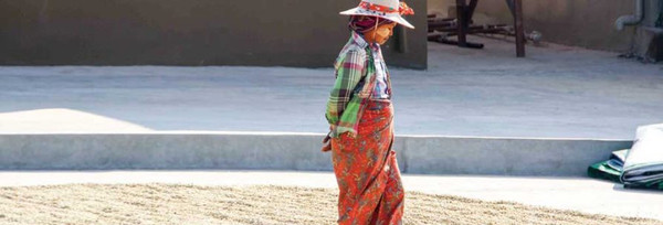 Focusing on Farmers, not Political Agendas