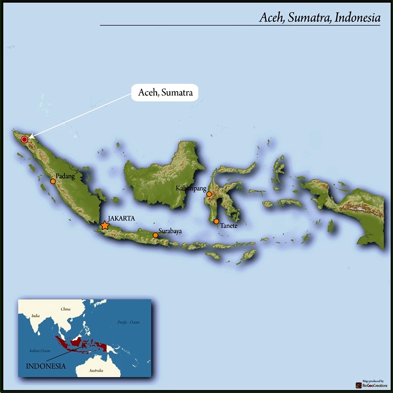 Sumatra LTD hover