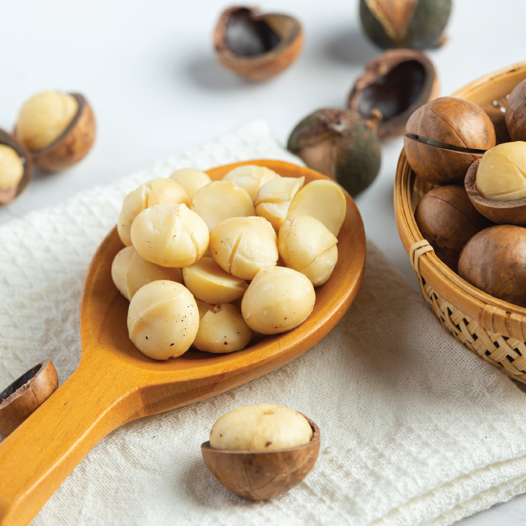 Hawaiian Macadamia Nut  hover