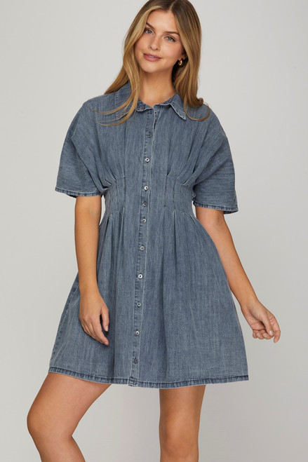 Alina Denim Dress