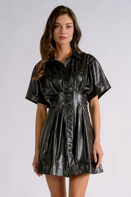 Raffle Faux Leather Dress