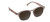 Sebastian Sunnies