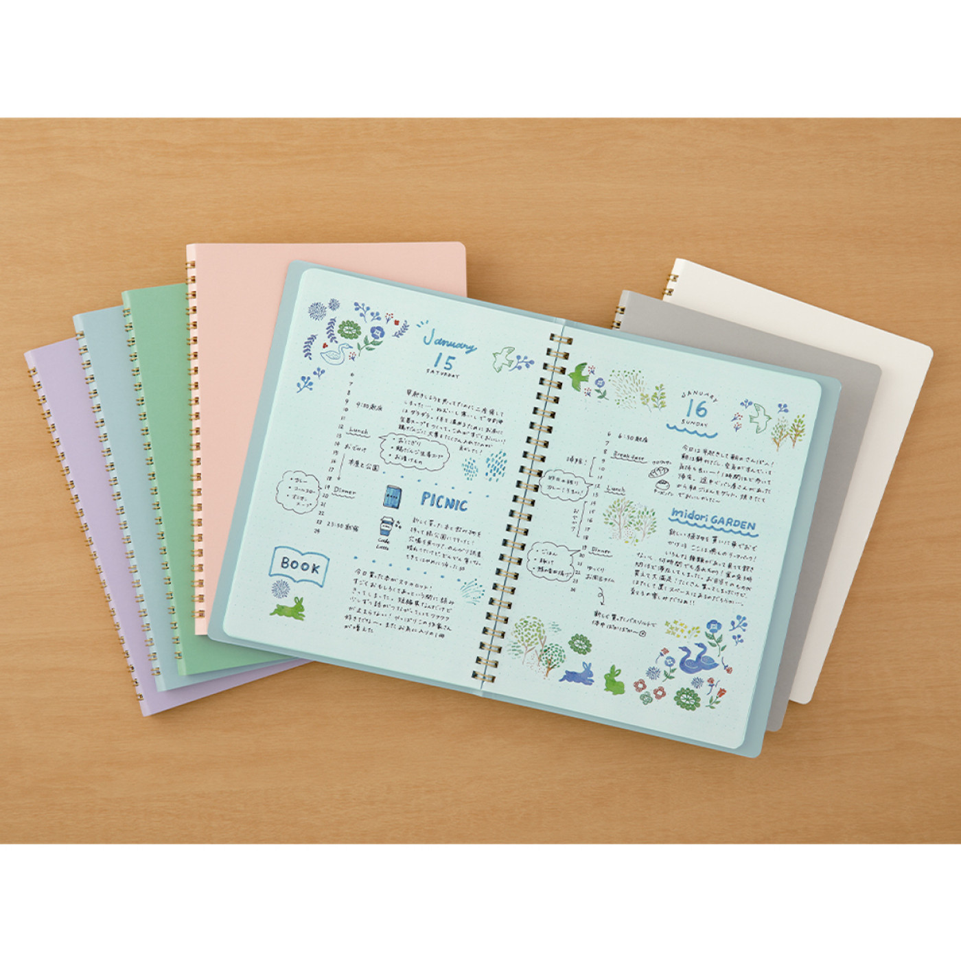 Midori colour spiral ring notebook - A5 - DOTTED