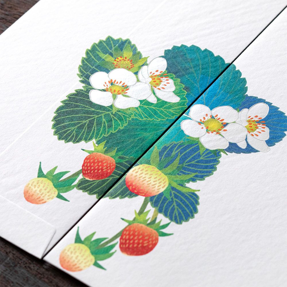 Midori Kami letter writing set - strawberry.