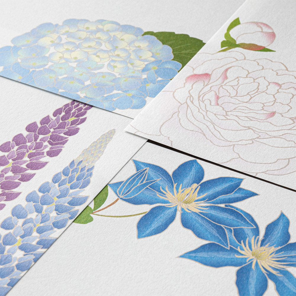 Midori Kami letter writing set - (s5) summer flowers